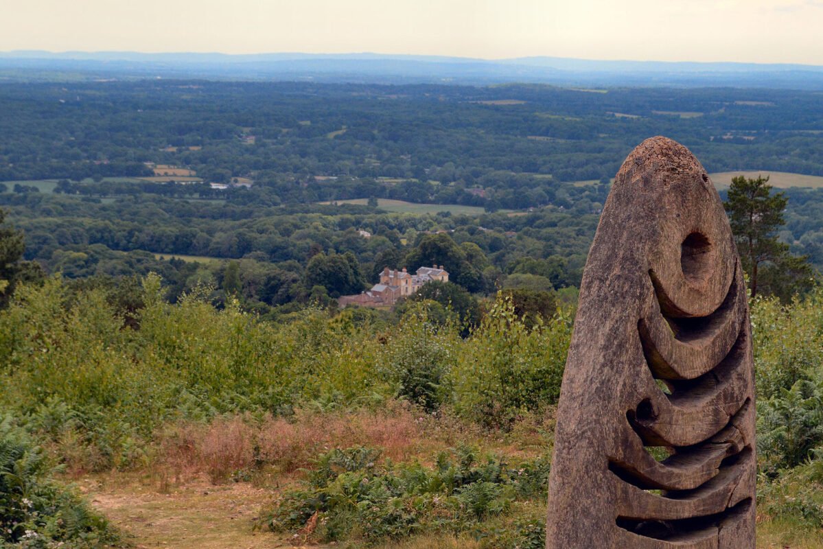 View of Surrey from Leith Hill