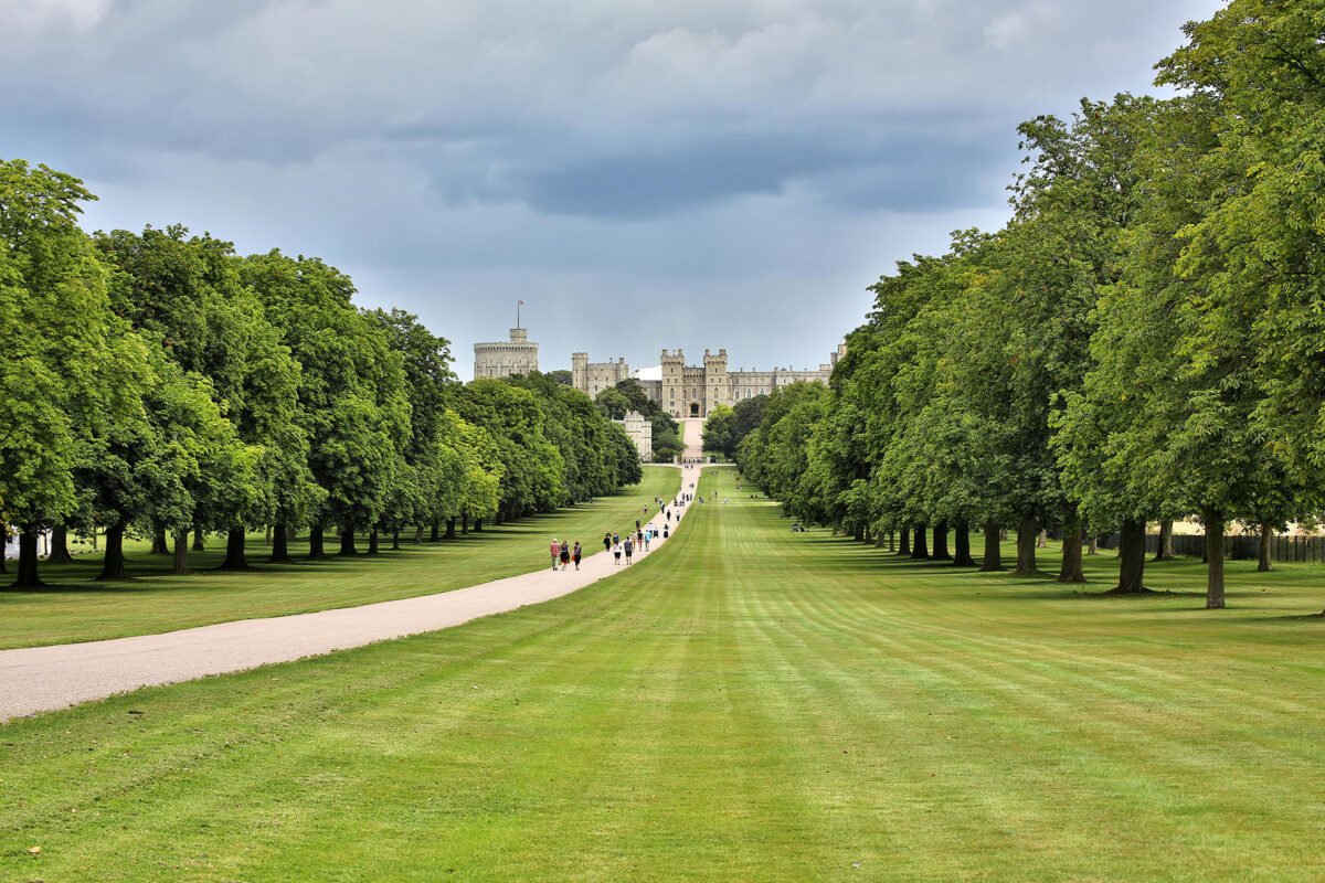 Photo of The Long Walk and Windsor Castle